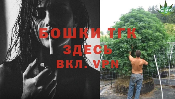 дживик Беломорск